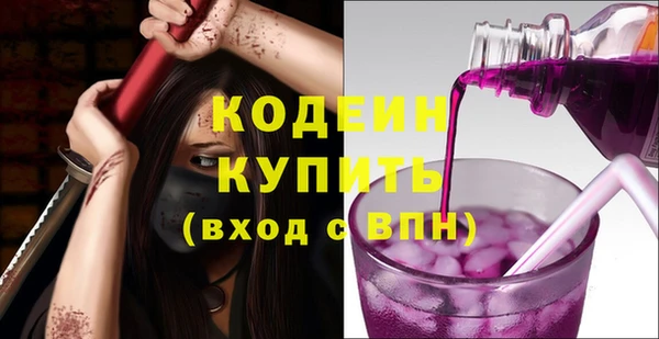 гашик Пестово