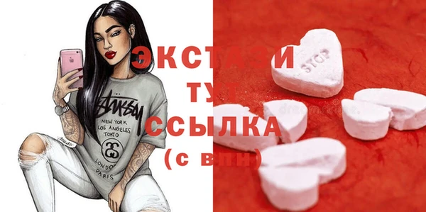 гашик Пестово