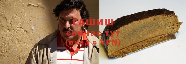 гашик Пестово