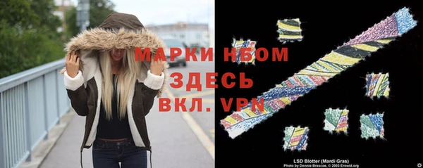 гашик Пестово