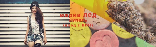 гашик Пестово