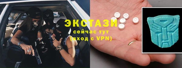 гашик Пестово