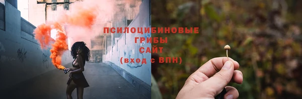 гашик Пестово