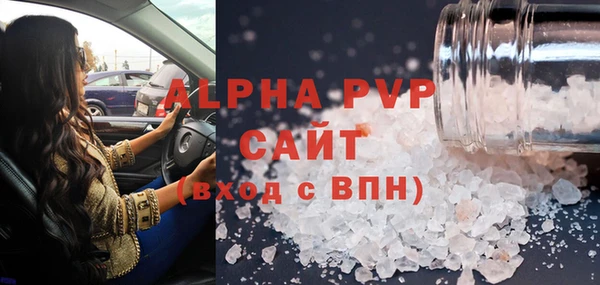 гашик Пестово