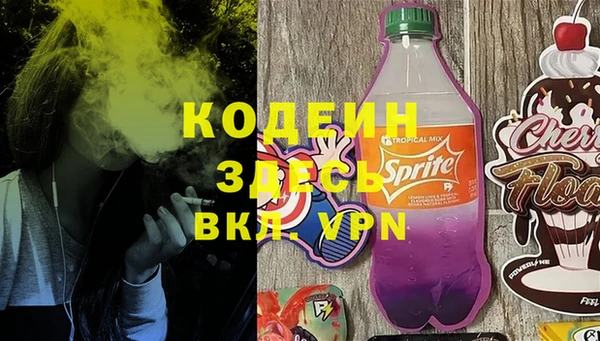 гашик Пестово