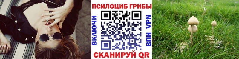 купить наркотики цена  Балей  Галлюциногенные грибы ЛСД 